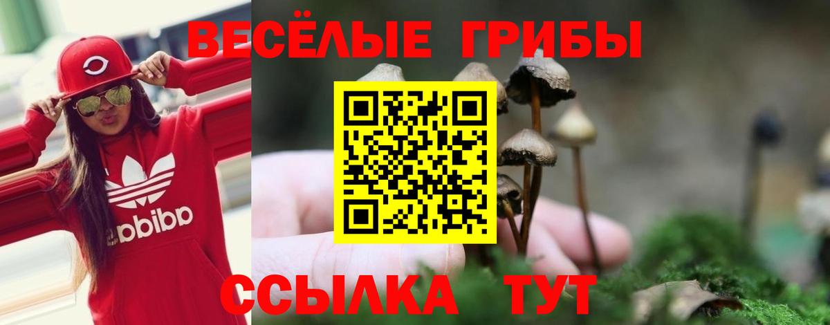 Псилоцибиновые грибы Cubensis  Псилоцибиновые грибы мухоморы  Вход с VPN  Нефтекумск 